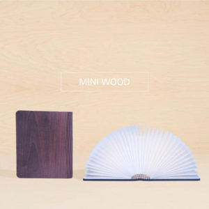 Mini Wood Book Lamp